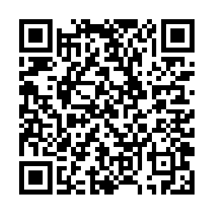 但这里的每一样玩具在景沐沐心中都有着特别的意义二维码生成