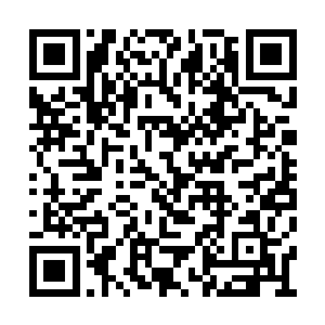 但这里除去每座山岳都孕育着精纯的各种精华外二维码生成