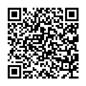 但这长剑在刺入秦宇的大腿一分之深便是再难进分毫二维码生成