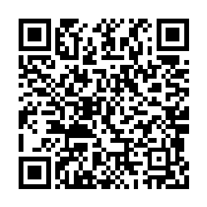 但这颗果实此刻就这么活生生的呈现在张铁面前二维码生成