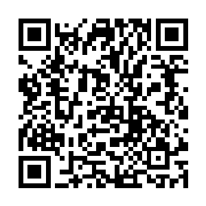 但这骆氏一族的老爷子似乎也不是特别好相处的样子二维码生成