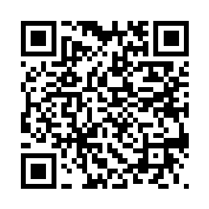 但这高度对于伏叶虫而言也是过于大了二维码生成