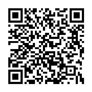 但远征军迟迟没有表达对革新派旗帜鲜明的支持二维码生成