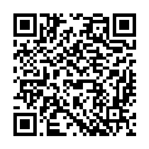 但追击过去的士兵看到退走的人中有穿着他金国的军服二维码生成