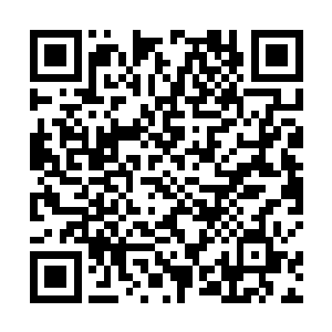 但通过薛二夫人还抓着他手不放的那只手上传来颤抖中二维码生成