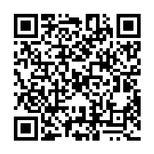 但那不断轰击而来的元素力量也对他造成了不小的影响二维码生成