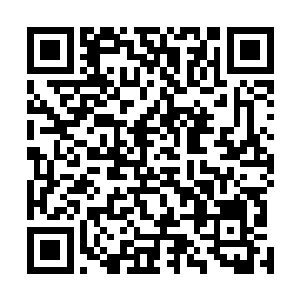 但那个六翼天使所展现出来的力量却是那么的强大和诡异二维码生成