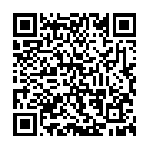 但那个想抢夺万兽无疆的人为什么会盯上齐鹿呢二维码生成