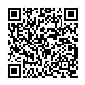 但那也仅仅只是以一个中路选手的身份来讲而已二维码生成