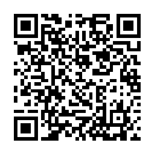 但那些保护着她的武者们心不甘却也必须拼死保护她二维码生成
