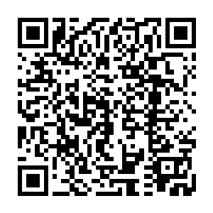 但那些大臣的园子苗毅还是可以趁着大臣不在的时候借口检查进去瞧一瞧的二维码生成