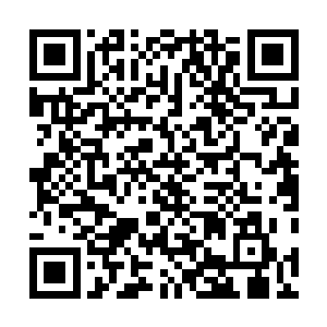 但那些常人已经无法下咽的风干的肉干和水瓜之类的东西二维码生成