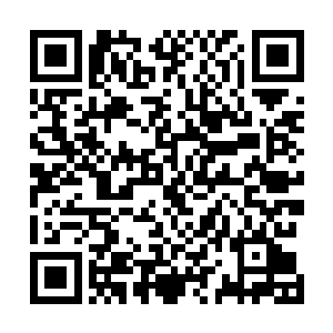 但那些看起来好像脑部组织的沟壑外形却没有丝毫的损伤二维码生成