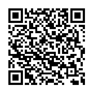 但那几头蠢蠢欲动的豹子显然没有这么大的耐心二维码生成