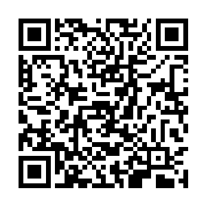 但那家伙看似狂妄却是最守上下尊卑观念的一个人二维码生成