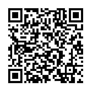 但那对如地中海般碧蓝的眸子里却跳动着兴奋的目光二维码生成