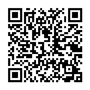 但那局比赛打完以后mvp却是给了同样发挥出色的皮野绫二维码生成
