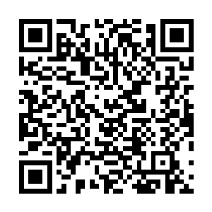 但那拄着巫术拐杖的满是恶心疙瘩的手臂泄露了她的身份二维码生成