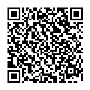 但那时候我从来没觉得人类有什么特别之处不过是和岩石以及灵能傀儡一样二维码生成