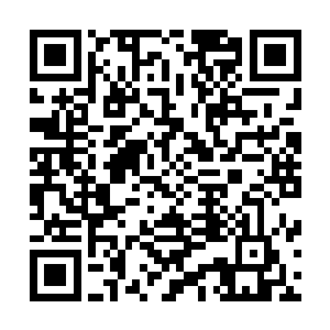 但那时候的司机师傅也不至于有那么多钱买那么大一块地吧二维码生成