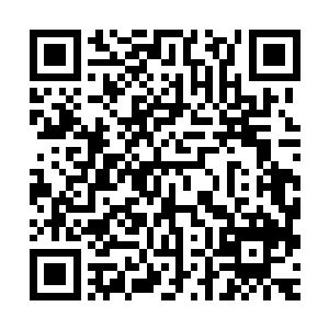 但那红肿的双唇以及脖间那斑斑红痕还是刺痛了秋菊与冬梅的眼二维码生成