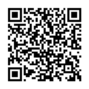 但那翘起的下巴和弯成月芽的眼神却告诉张东城二维码生成