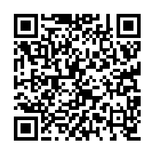 但那股力道仍然让他心中生不起丝毫反抗的意念二维码生成