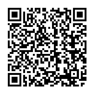 但那股锐利无比的穿透力却还是透过那缕护身先天之气落在了弥勒分身的后背二维码生成