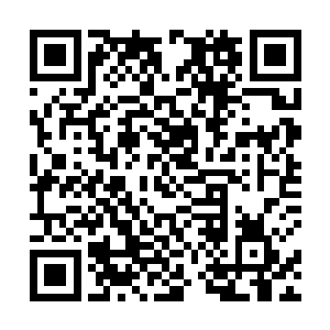 但那诱人的香味和油光还是让妮娜端坐起来准备开动了二维码生成