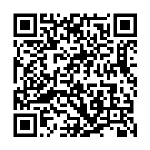 但那越来越让人心惊的毁灭气息却是迅速弥漫在整个空间二维码生成