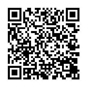 但那鲜血淋漓的场面显然也把南宫离珠吓得够呛二维码生成