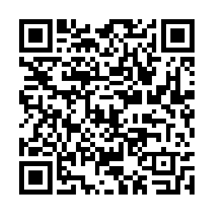 但郑小明已经知道卢向东跟公安局的领导关系匪浅二维码生成