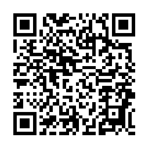 但都怀着对往事的美好回忆与战友共同迎接激战的到来二维码生成