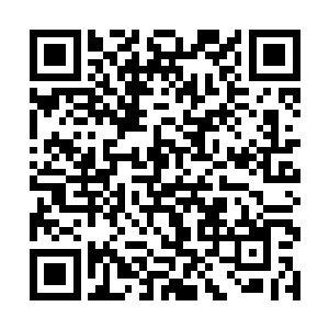 但都给负责山外巡视的徽山客卿驱逐甚至是当场打杀二维码生成