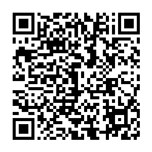 但里面充盈的妖兽虫类还是让它给南北两侧的西元州和西悠州带来繁荣二维码生成