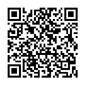 但金凤王这位凤族之王却是凤族真正的远祖乃是凤凰老祖二维码生成