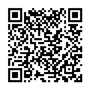 但金在珉从她明亮的眼睛里面看到一丝俏皮的腹黑二维码生成
