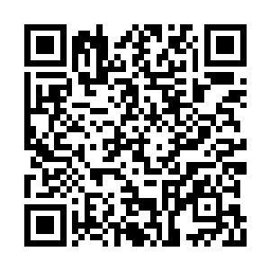 但金文燕也并没有太见外的把林安当成陌生晚辈二维码生成