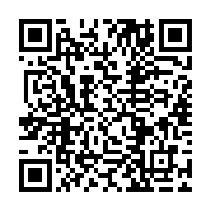 但铠甲只需要按照自己身体的大小进行更改就可以了二维码生成