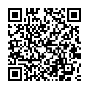 但问题是现在的王阳和林秋燕还真的就有那么一些胆怵的感觉二维码生成