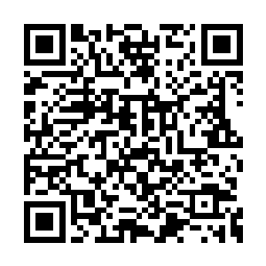 但问题是这个状况跟想象当中的完全就不一样呀二维码生成