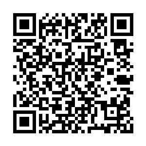 但陆为民觉得郑泽宁和李志远关系密切是一回事二维码生成