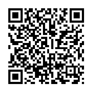 但院线放映寿命远远比不上那些大热的PG级或者PG二维码生成