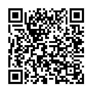 但除非本域有着拖拽两倍自身体量艰难爬升的力气二维码生成