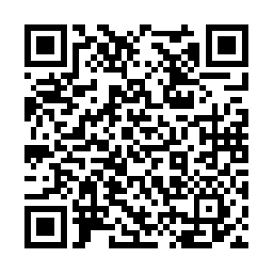 但随即蜂拥而来的痛苦让特蕾西几乎无法保持平静二维码生成