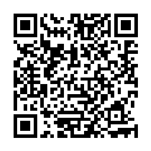 但随后屠山卫在镇江城内的受阻却多少令他有些颜面无光二维码生成