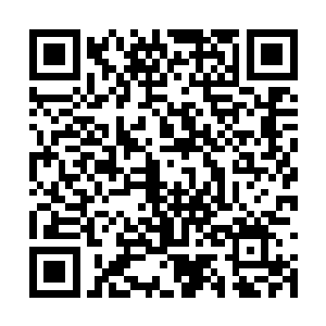 但雨果却可以轻易感受到来自尼尔内心的真情实感二维码生成