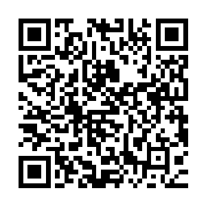 但雨果的名字却出乎意料地出现在了最佳编剧的提名者行列之中二维码生成