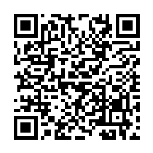 但雷林的目光却让这名史格力巫师冷冷打了个寒颤二维码生成