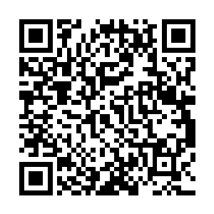 但雷林还是将一根最新炼制出来的提尔夫旋罩药剂握在手心二维码生成